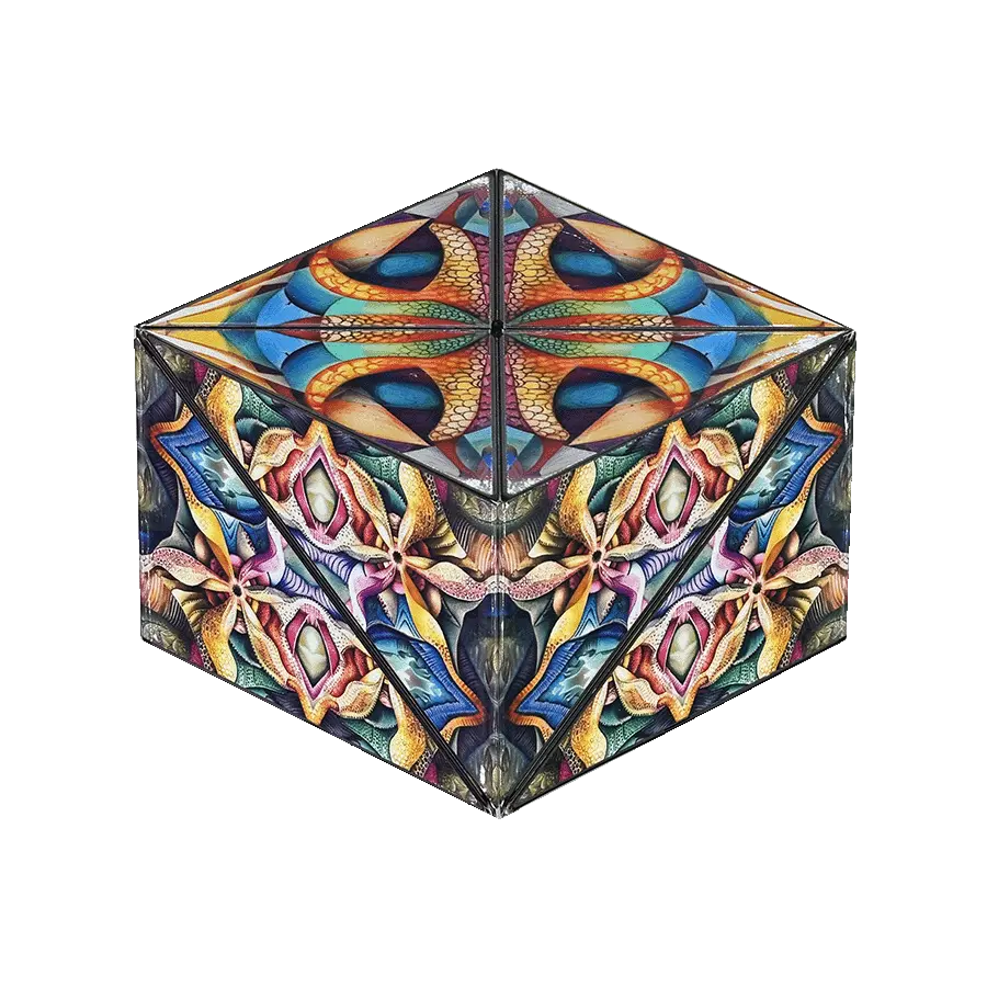 Shashibo Icosa - Bright Play